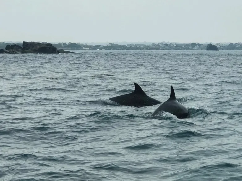 apero-newkite-la-coquille-2023-6