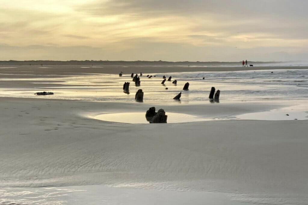 pieux asperges rommel kerhillio