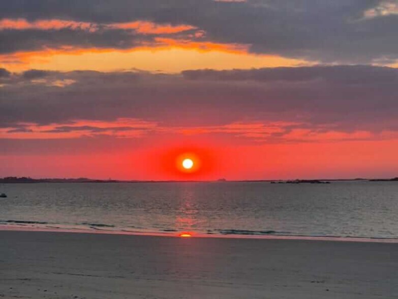 van trip newkite 2025