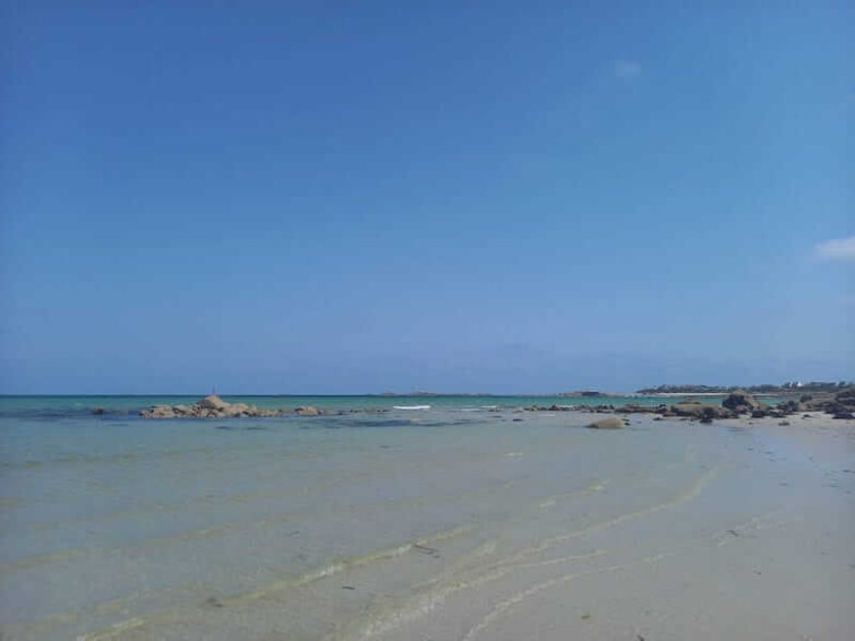 van trip newkite 2025